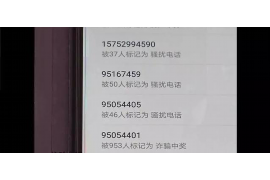 催收说的话大全——专业视角下的催收策略与沟通技巧